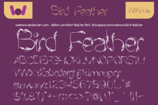 Bird Feather Font: Elevate Campaign Visuals