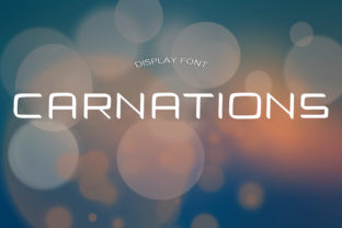 Carnations Font: A Modern Display Typeface for Brands