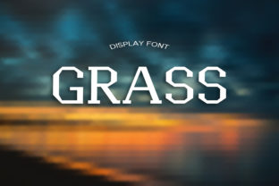 Grass: A Bold Serif Font for Makers