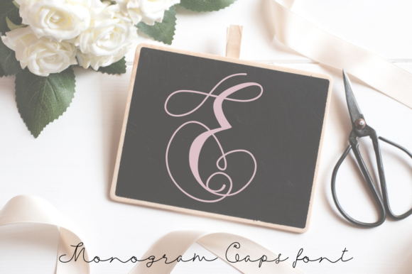 Monogram Swans Font: A Web Designer’s Review
